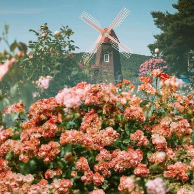 澳门新葡萄新京8883app下载