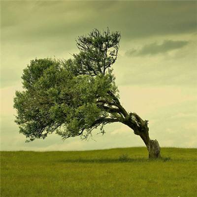 江南平台app下载安装