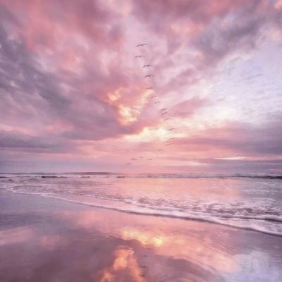 AG官方平台下载地址下载手机版