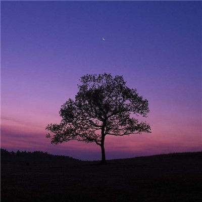 天博网页版入口官网