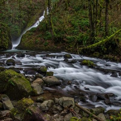 im电竞官方网站下载手机版