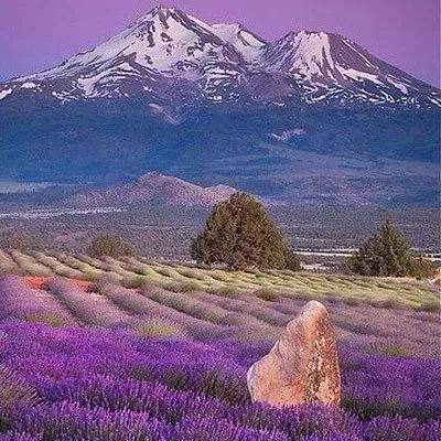 星空下载app下载